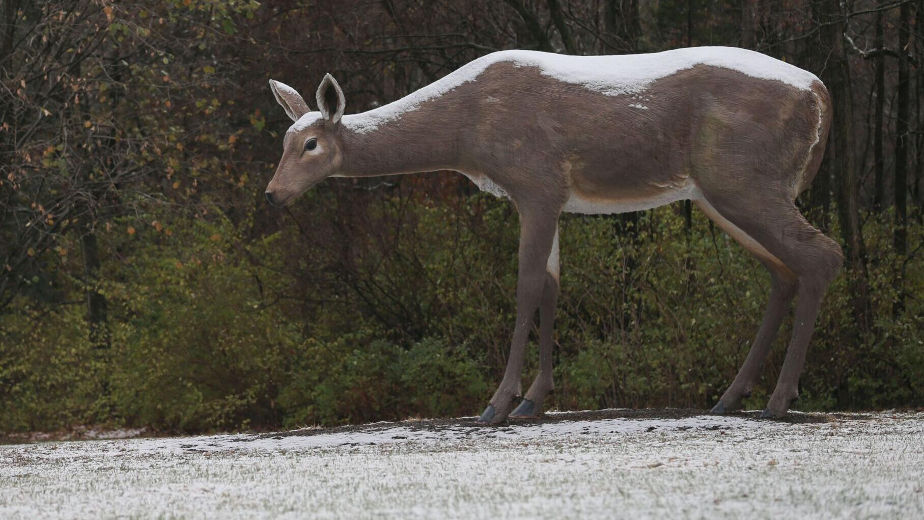 Light snow falls across St. Louis region